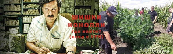 не бодяженный Богородск