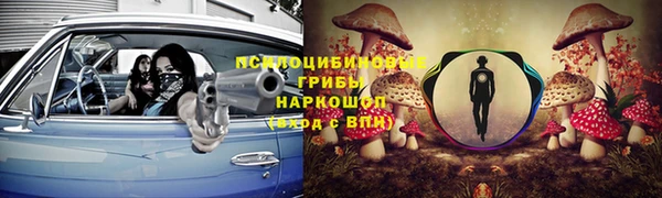 винт Сосновый Бор